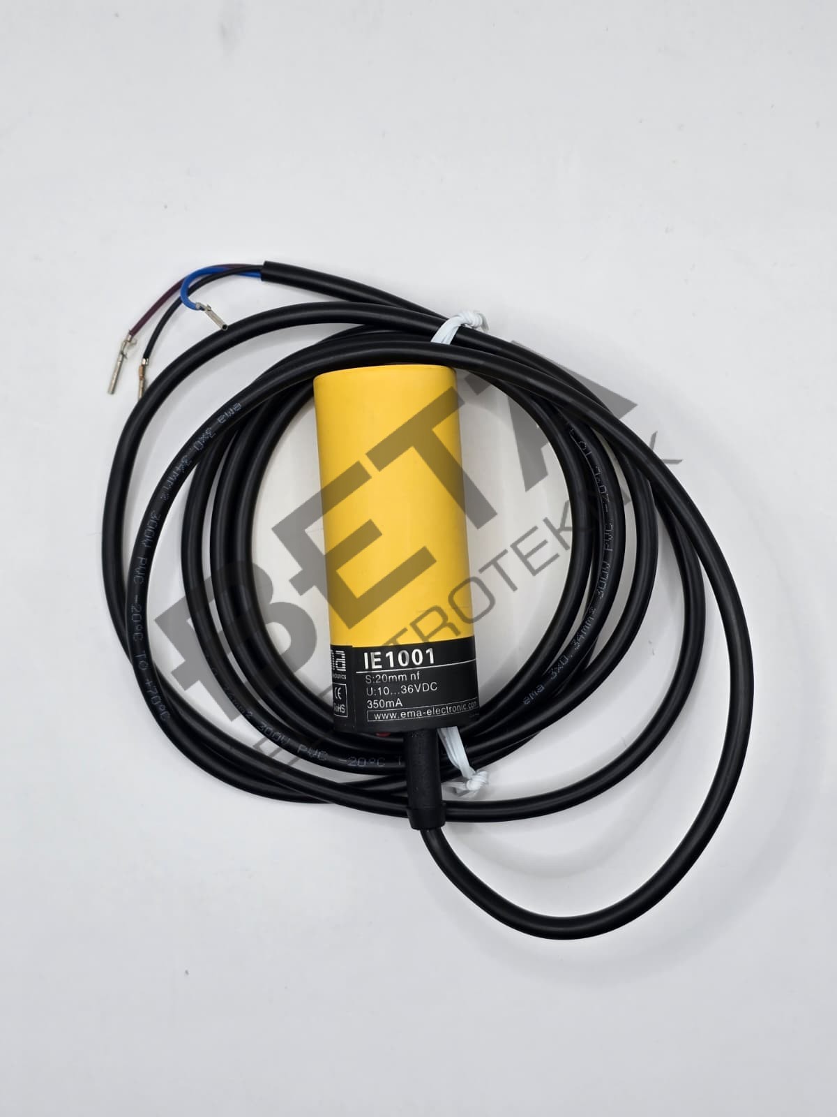 IE1001